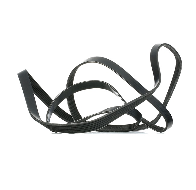 Juego de correas trapeciales poli V